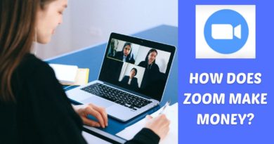 How Does Zoom Make Money, Zoom Business Model