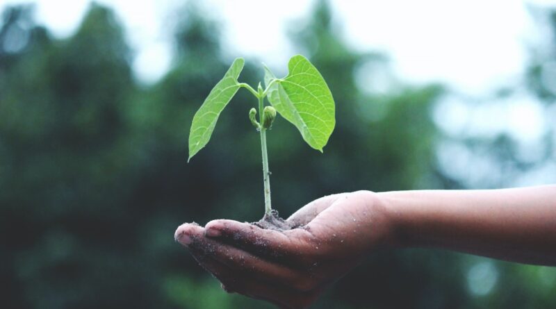 how to grow your brand with Sustainable Marketing