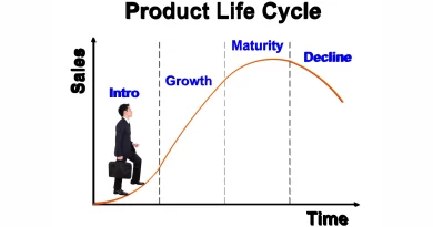 4 Stages Of Product Life Cycle